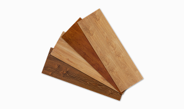 Carpet & Rug Cleaning